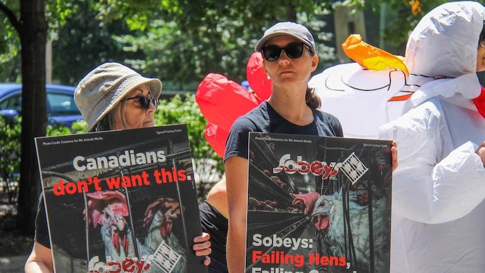 Deux personnes sont dans une manifestation et tiennent des pancartes qui montrent une poule dans une cage.