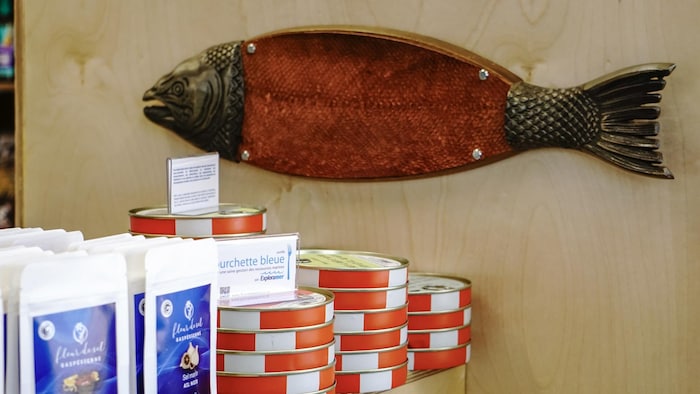 Oeuvre d'art d'un saumon tanné.