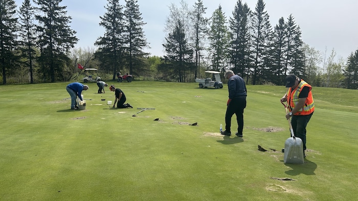 Cinq personnes replacent le gazon arraché sur un terrain de golf.