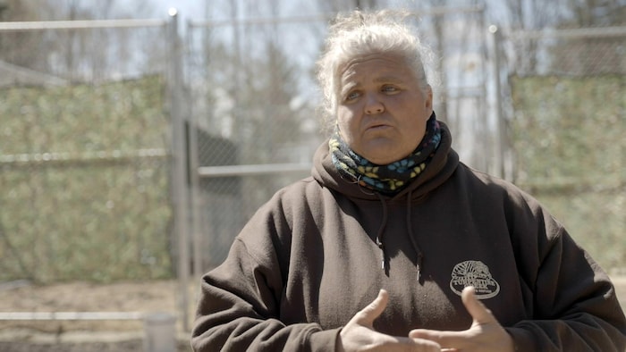 Laurie Vanderwal, conservatrice adjointe au Turpentine Creek Wildlife Refuge, a participé au sauvetage des sept lions du site de Saint-Édouard-de-Maskinongé vers l’Ontario pour leur séjour temporaire.