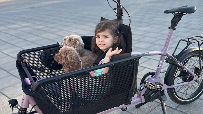 Une petite fille dans un vélo-cargo.
