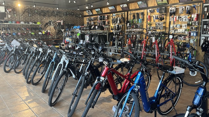 Une rangée de vélos en vente chez Vélo Plein Air, un magasin à Rimouski.