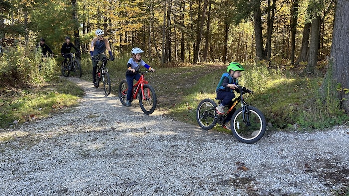 Des jeunes circulent à vélo dans la forêt.