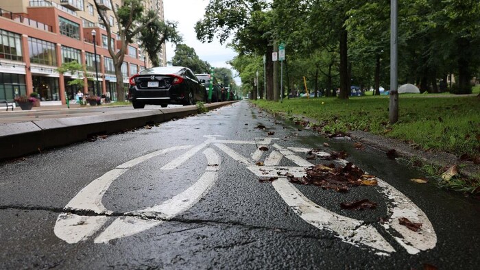 Une photo prise au niveau du sol d'un pictogramme de vélo peint sur une piste cyclable, séparée de la circulation automobile par du béton et bordée d'un parc de l'autre côté.