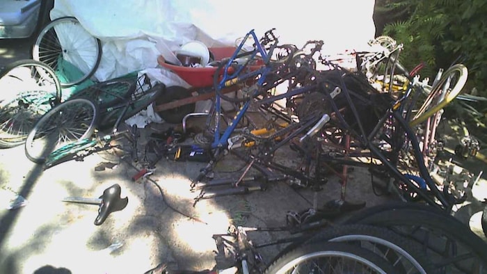Des tas de vélos.
