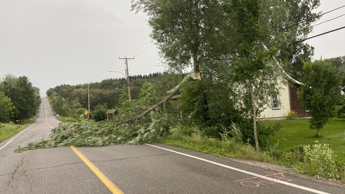 Un arbre cassé est tombé sur la route.