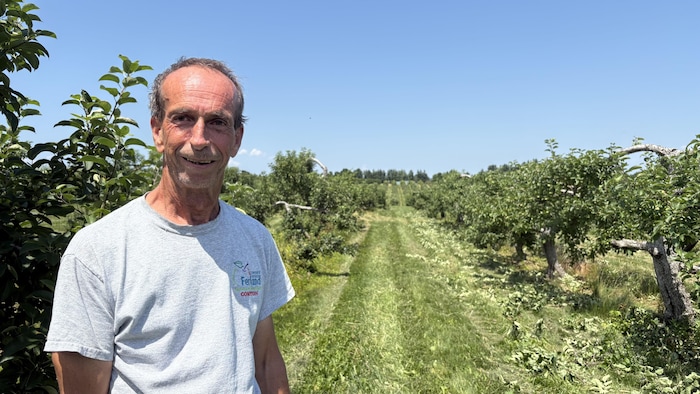 Un homme dans un verger.