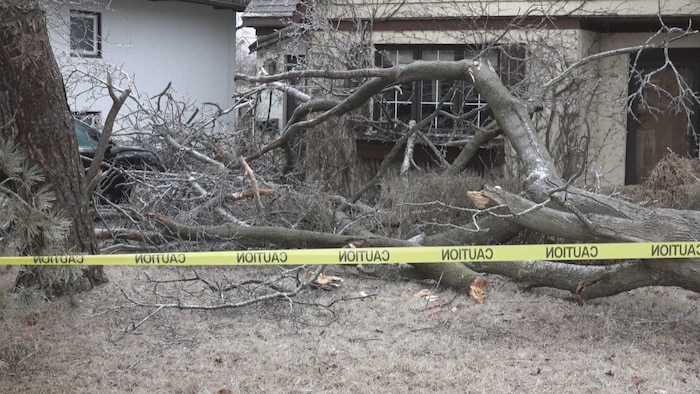 Un arbre brisé devant une propriété à Kingston, en Ontario.