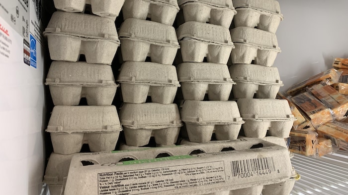 Des boîtes d'œufs.
