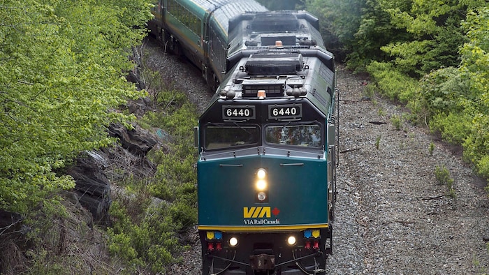 Un train de VIA Rail est en mouvement dans une zone boisée.