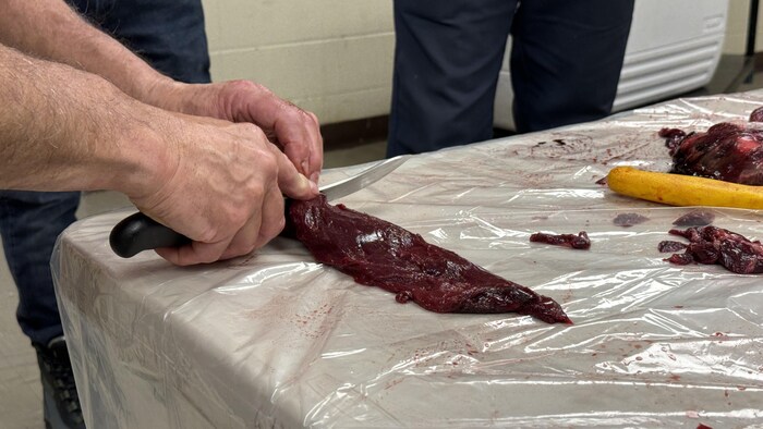 Un homme coupe un morceau de viande rouge sur une table recouverte d'une toile en plastique ensanglantée.