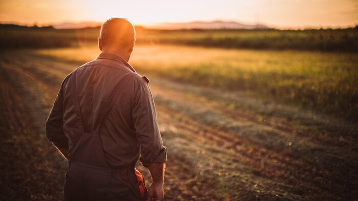 Un homme d'un certain âge sur une terre agricole au coucher du soleil.