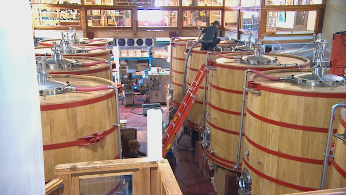 Des fûts de vins dans une exploitation viticole en Colombie-Britannique.