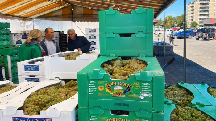 Des commerçants et un client regardent des caisses remplies de raisins dans un marché extérieur.
