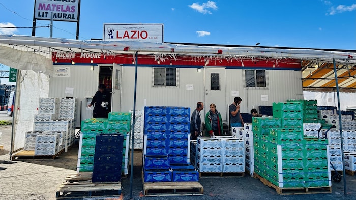 Des clients circulent entre des caisses de raisins empilées devant le commerce Lazio.