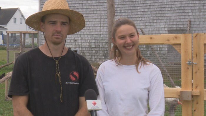 Dépourvus d’abattoir en Gaspésie, des éleveurs de volaille prennent les ...