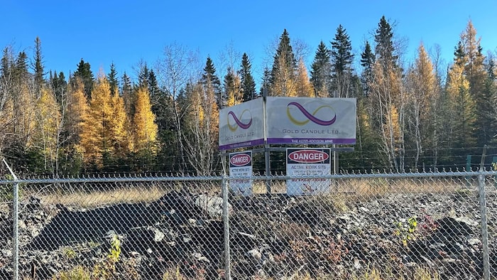 Une affiche de Gold Candle Ltd derrière une clôture, devant un boisé.