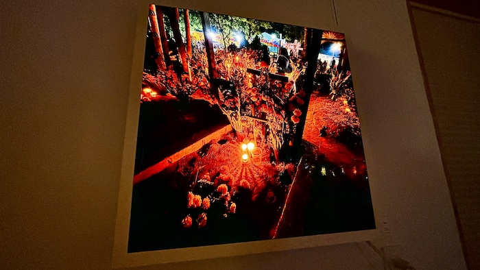 Une photographie dans un cimetière