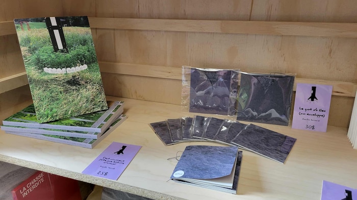 Livres d'artistes dispos&eacute;s sur une &eacute;tag&egrave;re en bois.