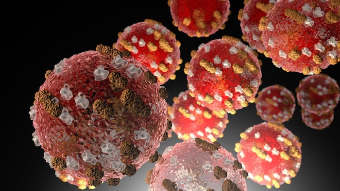 Illustration montrant des cellules du microorganism de la rougeole.