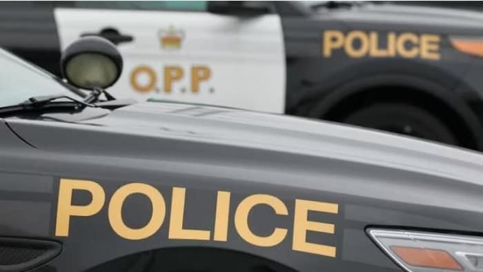 Des autopatrouilles de la Police provinciale de l'Ontario.