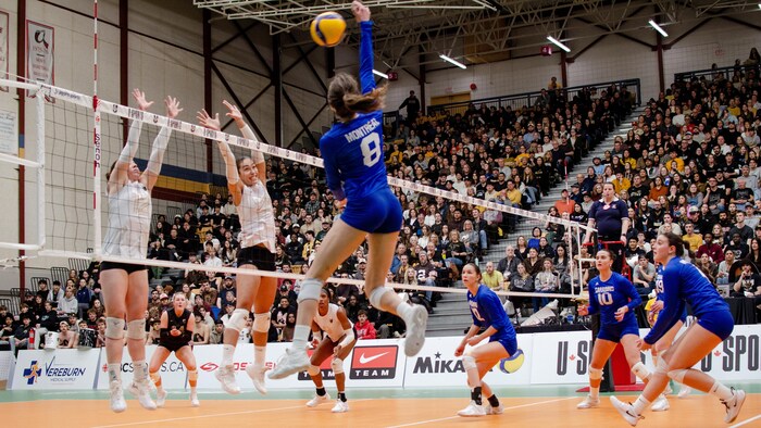 Des joueuses de volley en action.