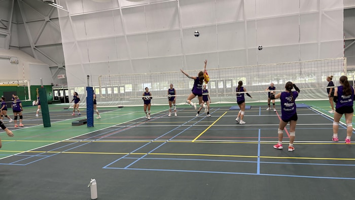 Des joueuses de volleyball jouent ensemble.