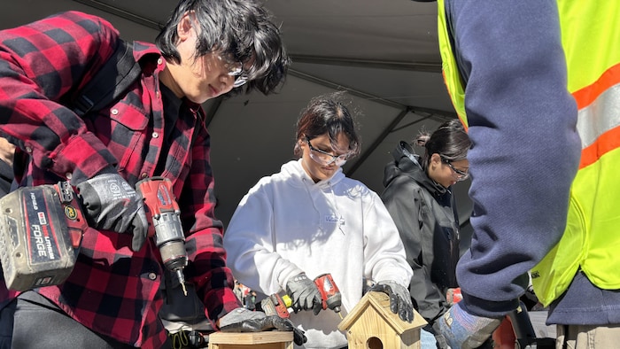 Des jeunes travaillent à construire des nichoirs, manipulant des perceuses.