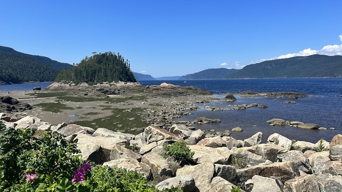Vue sur le fjord du Saguenay.