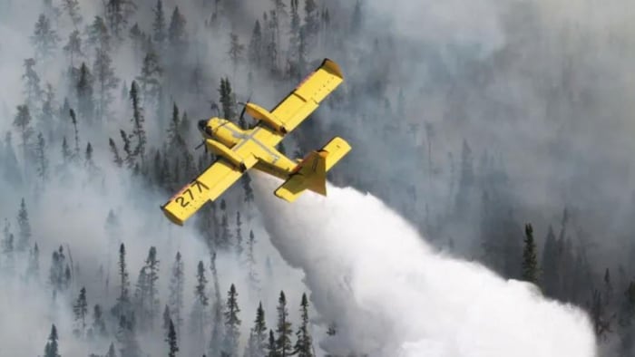 Un avion bombardier survole une forêt en y jetant une importante quantité d'eau.