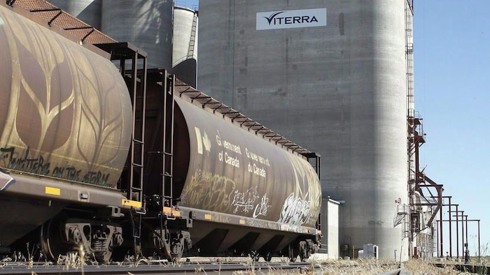 Deux wagons sont garés à côté d'un élévateur à grain de Viterra