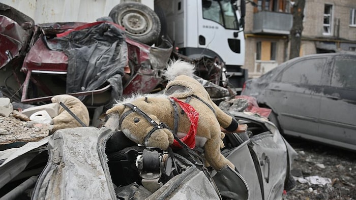 Un cheval à bascule sur le toit d'une auto écrasée par des débris.
