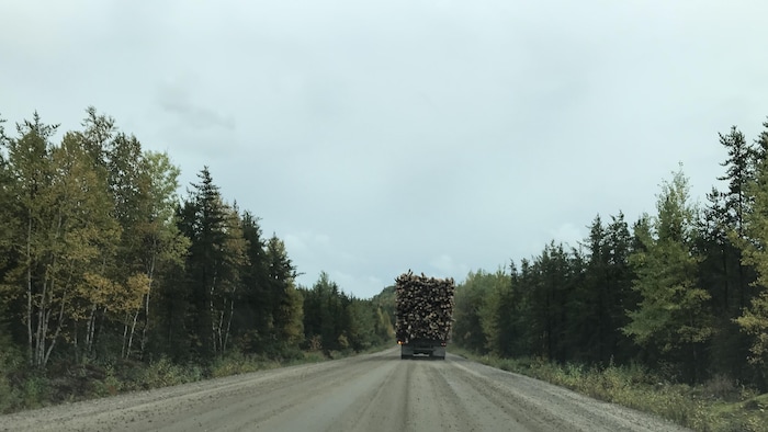Un fardier chargé de bois circule sur une route forestière.