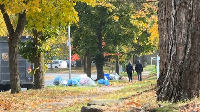 Deux personnes marchent sur un trottoir bordé d’arbres aux couleurs automnales, près de plusieurs sacs de déchets déposés en bordure de rue.