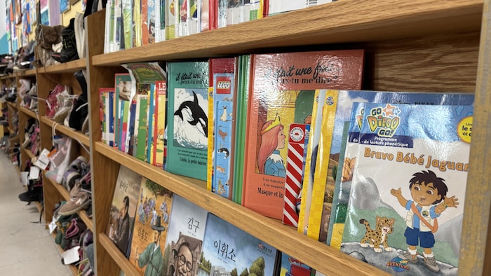 Des livres en français sur une étagère de bois. 
