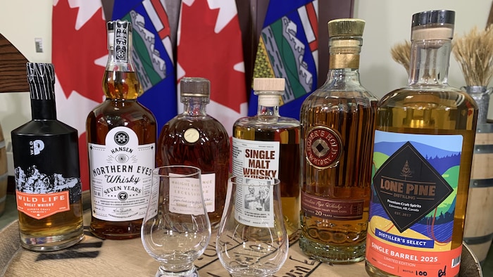 Des bouteilles de whiskys albertains. 