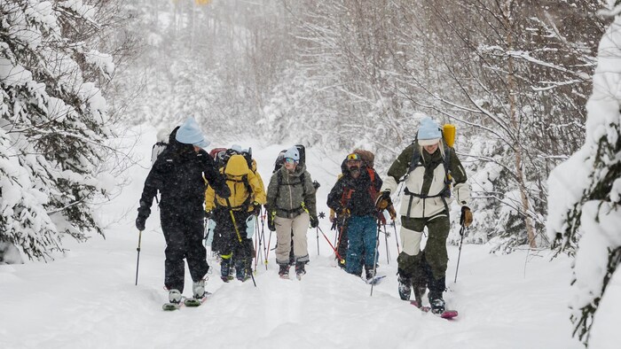 Un groupe de personnes remonte un chemin enneigé en ski de randonnée.