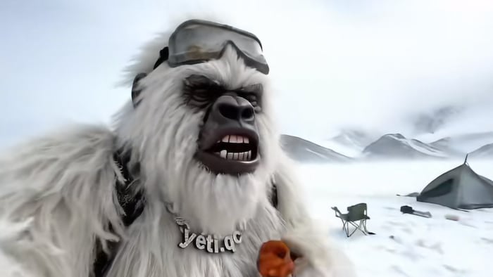 Here is what is hidden behind the videos of animals with Quebec accent Here is what is hidden behind the videos of animals with Quebec accent