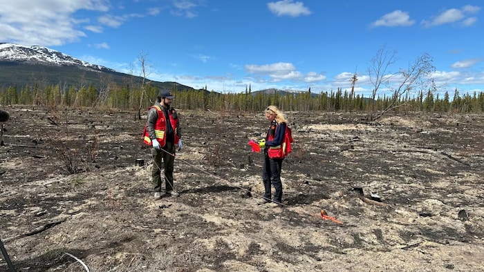Les deux personnes vérifient les plants au milieu d'un paysage terni.