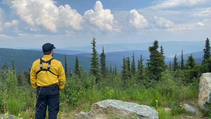 A firefighter looks at smoke in the distance, June 25, 2025. fight against forest fires strengthened