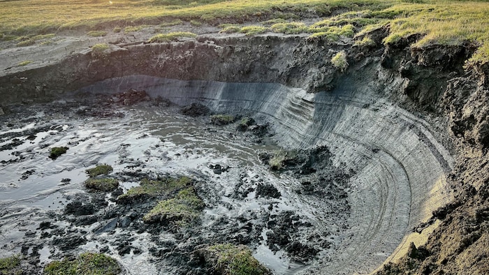 Un grand trou au fond boueux est entouré d'un terrain gazonneux.