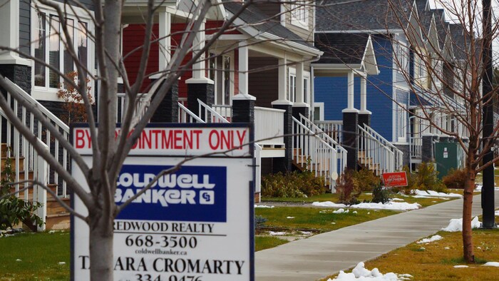 Des affiches d'agents immobiliers et de candidats électoraux devant une série de maisons.