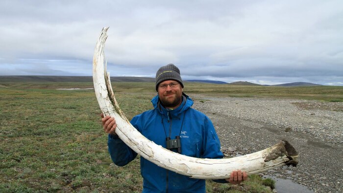 Love Dalén tient une défense de mammouth.