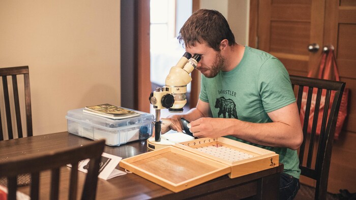 Daniel Peach regarde dans un microscope.