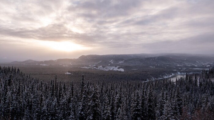 Plan panoramique du paysage du Yukon sur les hauteurs de Carmacks.