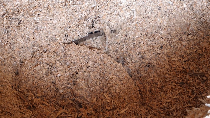 Des copeaux de bois avec une pièce en métal au milieu,