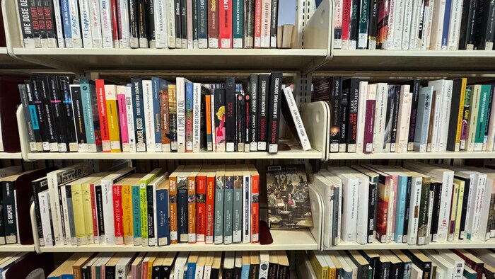 Des livres sur une étagère.