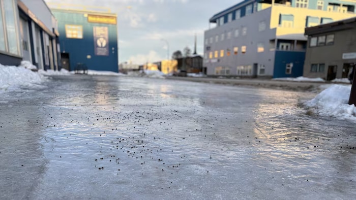 De la glace couvre un trottoir de la 4e Avenue à Whitehorse.