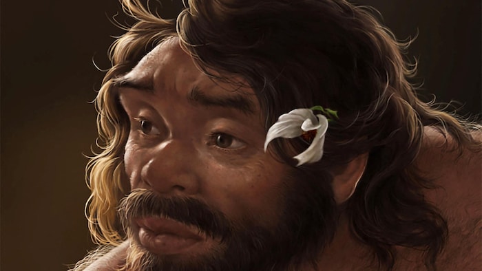 Cette illustration artistique montre la tête d'un homme adulte qui a vécu il y a environ 1 cardinal  d'années dans la state  chinoise du Hubei, d'après la reconstruction numérique d'un crâne humain archaïque fossilisé, appelé Yunxian 2.