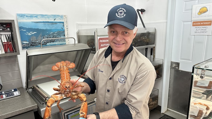 Un homme souriant à la caméra avec un homard orange dans les mains.